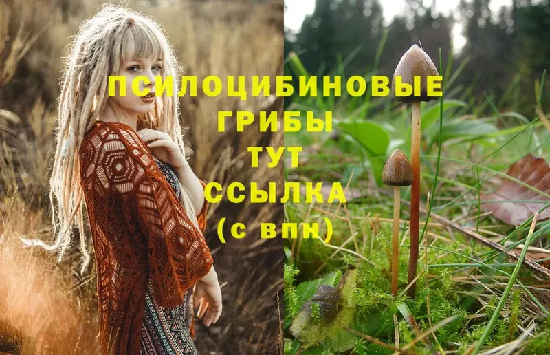 Галлюциногенные грибы Magic Shrooms  даркнет сайт  Заречный 